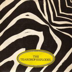 The Teardrop Explodes : Reward